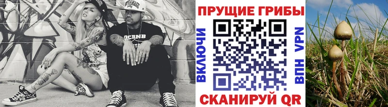 Псилоцибиновые грибы мухоморы  купить наркоту  Будённовск 